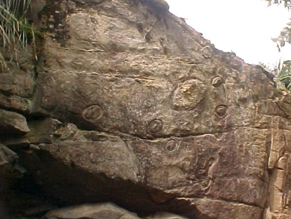 petroglifopuren